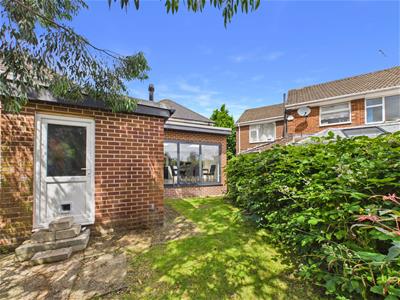 Picture 29